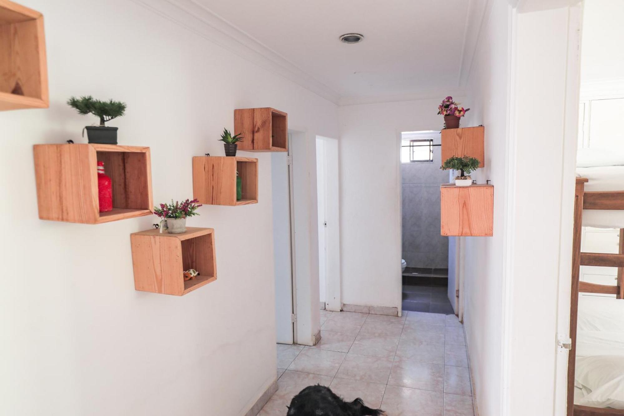 Hostal Palo Alto San Andrés 외부 사진